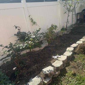 Flower Bed Weeding by George's Lawn Care reviewed on March 13, 2022