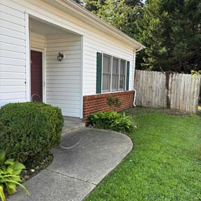 Bush Trimming by A&T Mobile Detailing and Home Renovation reviewed on April 11, 2025