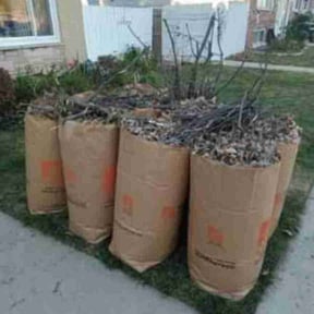 Leaf Removal by Clean cut landscaping reviewed on June 11, 2022