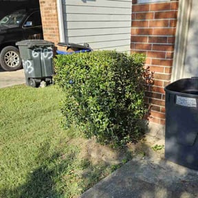 Bush Trimming by Cuadra Property Management reviewed on August 2, 2022