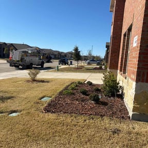 Flower Bed Weeding by Rwd services reviewed on June 27, 2022