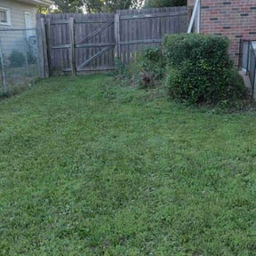 Bush Trimming by Coastal Lawnworx LLC reviewed on June 22, 2022
