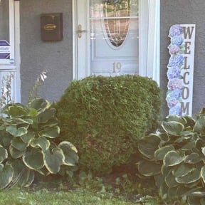 Bush Trimming by Weaver Lawn Care reviewed on April 25, 2022