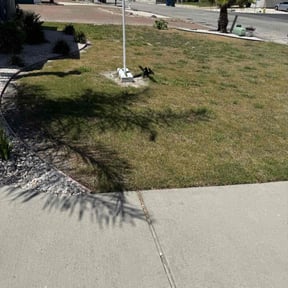 Weeding by West Texas Lawns and More reviewed on April 10, 2022