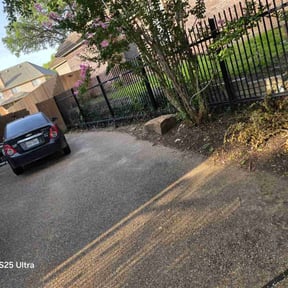Leaf Removal by Lawn Pro Landscape reviewed on November 17, 2023