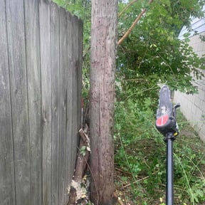 Bush Trimming by Liberty’s Stripes - Yard Professionals reviewed on September 2, 2024