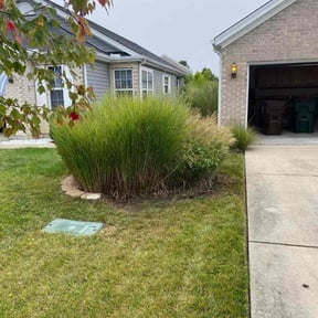 Bush Trimming by Bright Lawn Landscaping reviewed on June 27, 2022