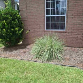 Flower Bed Weeding by Sj lawn care reviewed on August 5, 2022
