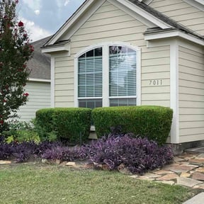 Bush Trimming by Cuttas Landscaping &amp; Lawn Services reviewed on June 16, 2022