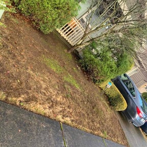Leaf Removal by Fast Pace LLC reviewed on May 27, 2022