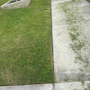 Cleanups by The Green Op reviewed on March 11, 2025