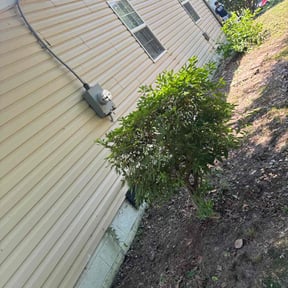 Leaf Removal by Inspo Lawncare reviewed on August 5, 2022