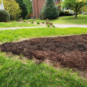 Mulching by Grass gang reviewed on June 13, 2025