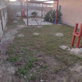 Leaf Removal by Wyatt's Lawn Care /Bad MowFos reviewed on May 7, 2025