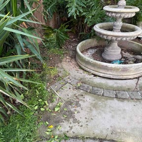 Cleanups by Cardinal Curb Appeal reviewed on April 23, 2022