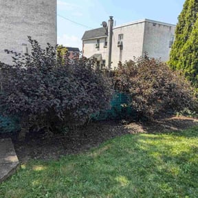 Flower Bed Weeding by Troy's Lawn Care reviewed on July 10, 2022