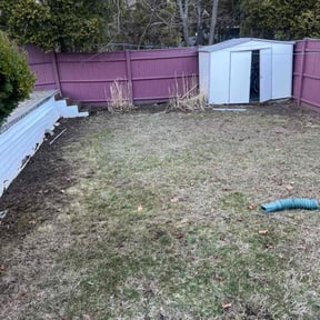 Leaf Removal by RxL Mowing reviewed on July 28, 2021