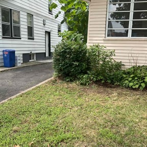 Bush Trimming by Rucker’s Lawn Care reviewed on April 20, 2022