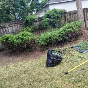 Bush Trimming by Cummings and Cummings Lawn Care reviewed on October 19, 2024