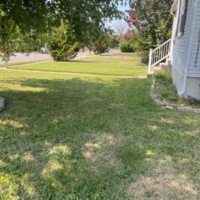 Leaf Removal by Pinedas lawn mowing pro reviewed on July 6, 2025