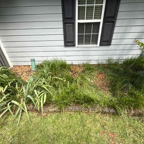 Flower Bed Weeding by Jewelry box ent reviewed on July 29, 2022