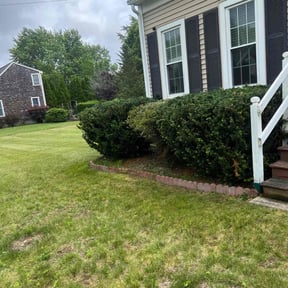 Bush Trimming by Courrier Lawn Co. reviewed on October 20, 2022