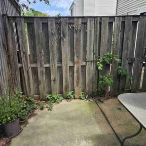 Bush Trimming by Discount Mowing reviewed on September 9, 2022