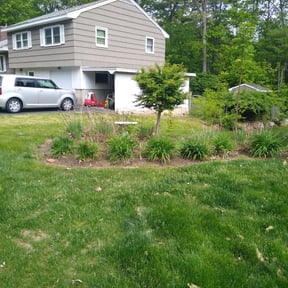 Cleanups by Northside lawn Care reviewed on April 10, 2022