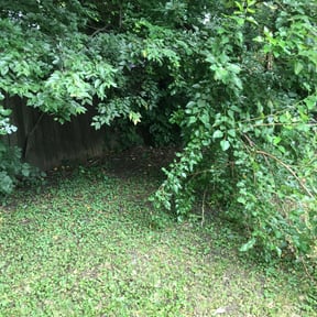 Cleanups by A rated landscaping reviewed on June 22, 2025