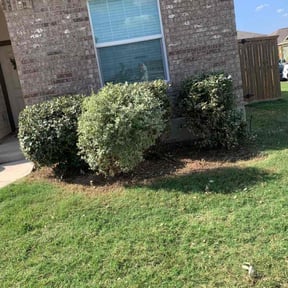 Bush Trimming by Guevara Landscaping reviewed on March 20, 2025