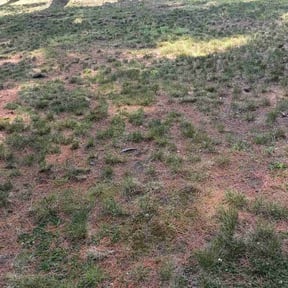 Cleanups by Owen Lawn Service reviewed on June 9, 2022