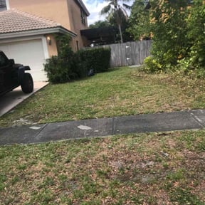 Bush Trimming by Jessie Complete Lawn Care reviewed on October 21, 2022