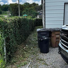 Bush Trimming by Ebenezer Lawn Care reviewed on August 7, 2022