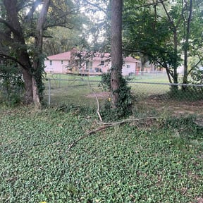 Leaf Removal by Crigler Lawncare reviewed on July 25, 2022