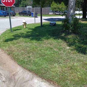 Cleanups by Stephenson Landscapes reviewed on November 9, 2022