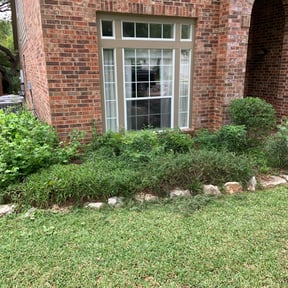 Bush Trimming by All Star lawn care reviewed on July 30, 2025