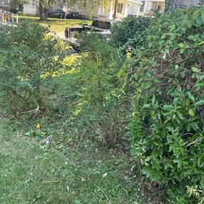 Cleanups by Redline Property Maintenance  (RPM) reviewed on November 2, 2022