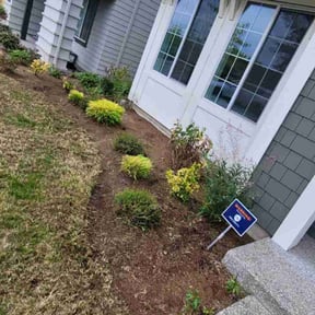 Bush Trimming by Aqua Lawn reviewed on May 6, 2022
