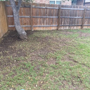 Leaf Removal by Golden Lion&#039;s reviewed on November 1, 2024