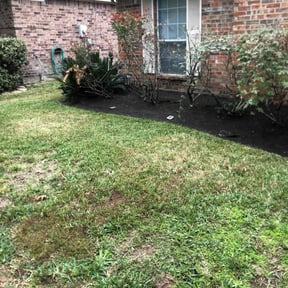 Flower Bed Weeding by LSLTAustin/SanAntonioEmerald reviewed on March 5, 2025