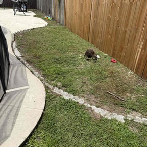 Weeding by Brent Walters reviewed on May 15, 2025