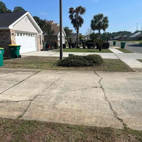 Bush Trimming by N&J Lawn Care reviewed on May 28, 2022