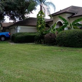 Bush Trimming by Springs Lawn Life reviewed on July 22, 2022