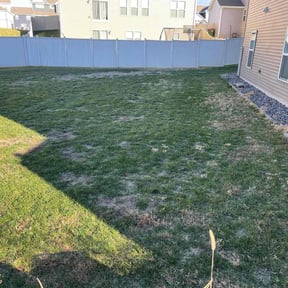 Bush Trimming by CRP Landscape reviewed on May 31, 2022