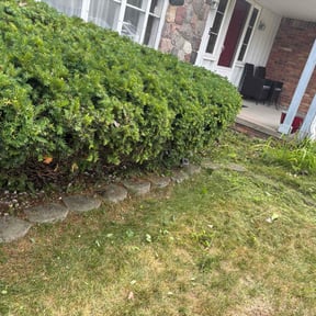 Flower Bed Weeding by RakeEm'upCee reviewed on June 11, 2025