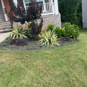 Bush Trimming by Elegant Lawn Care reviewed on July 14, 2022