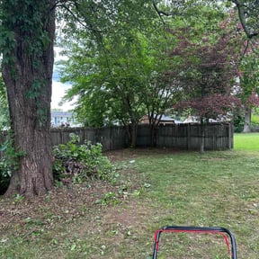 Bush Trimming by Holmes General Services reviewed on September 27, 2021