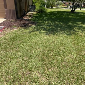Flower Bed Weeding by We Care Lawn Care reviewed on July 2, 2022