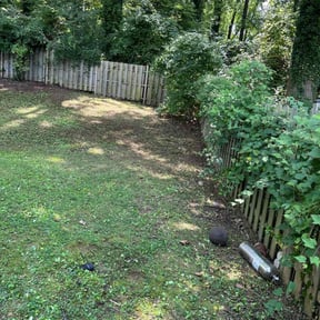 Leaf Removal by L&D Lawn Care Inc. reviewed on July 22, 2022