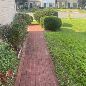 Cleanups by Edgar Elmore reviewed on August 29, 2022